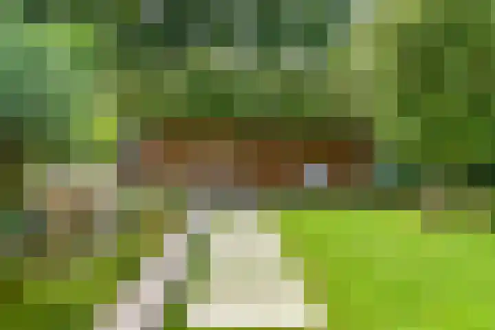 Wijkplaats 14 Naarden thumbnail 5