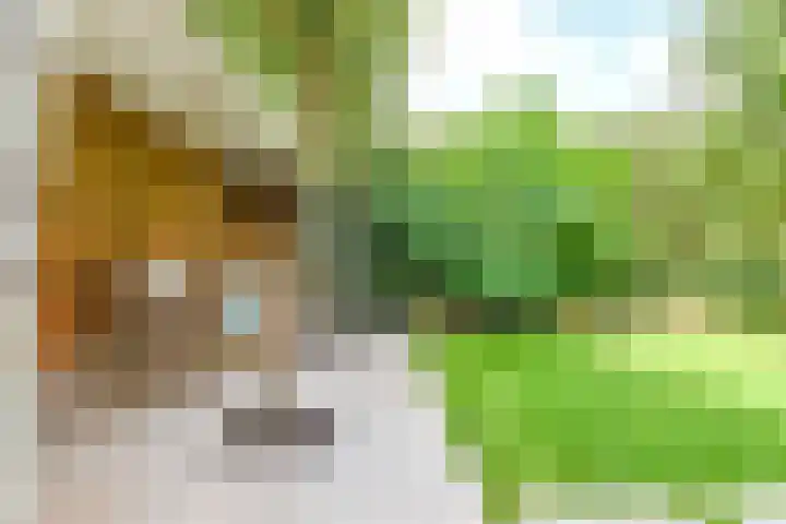 Wijkplaats 14 Naarden thumbnail 6