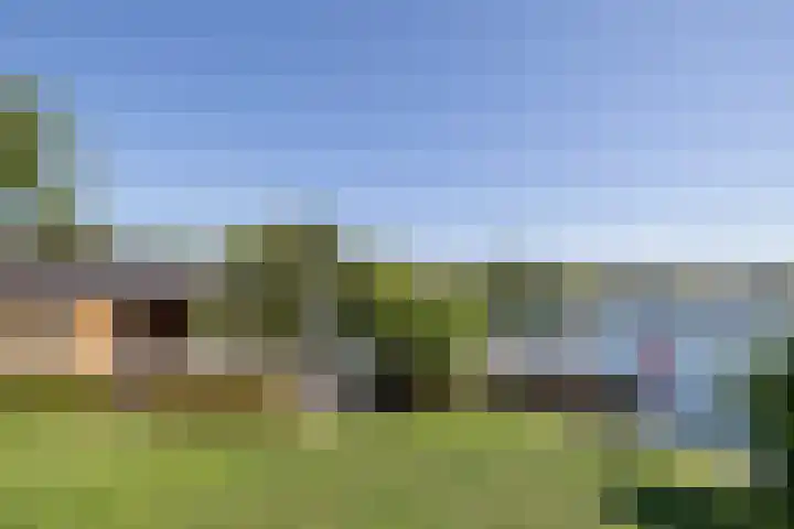 Wijkplaats 64 Naarden thumbnail 45