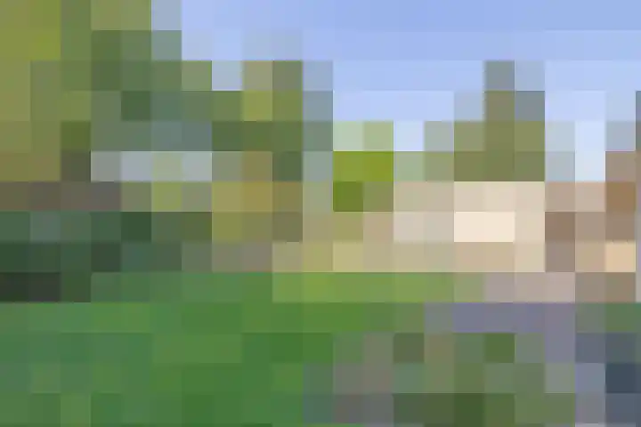 Wijkplaats 64 Naarden thumbnail 53