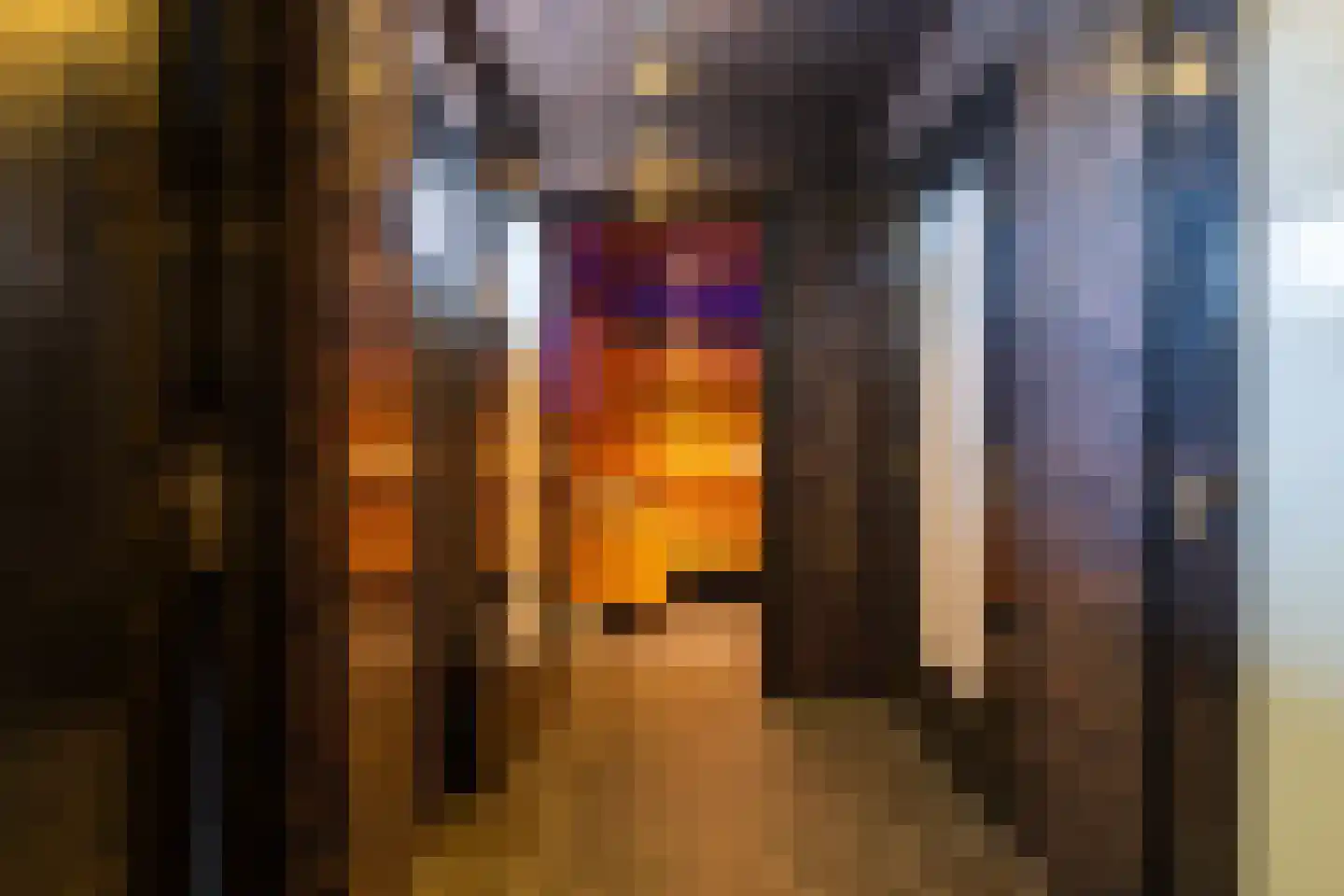 Wijksestraat 2 Wijk en Aalburg thumbnail 38