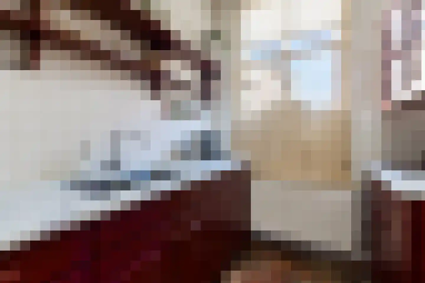 Wijksestraat 33 Heusden thumbnail 13