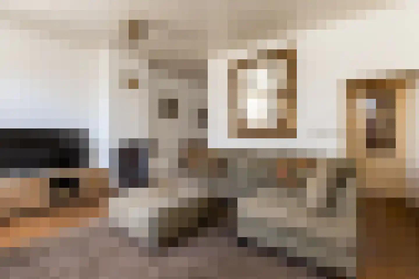 Wijksestraat 33 Heusden thumbnail 18