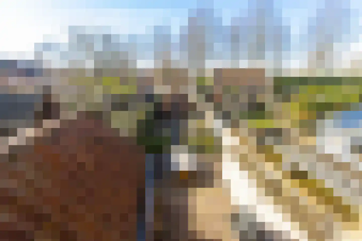 Wijksestraat 33 Heusden thumbnail 31