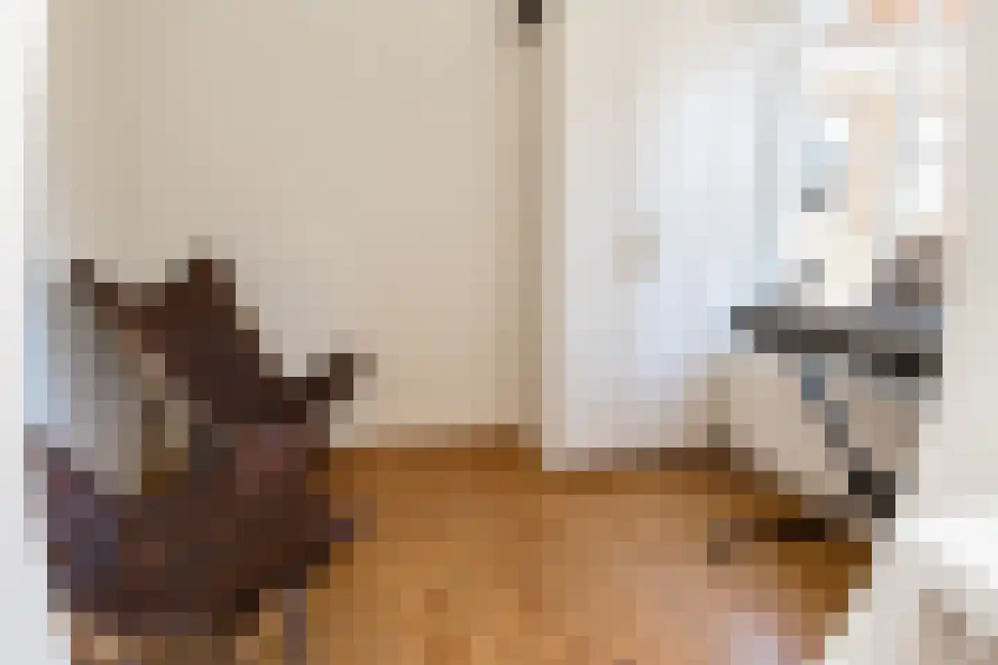 Wijksestraat 33 Heusden thumbnail 35