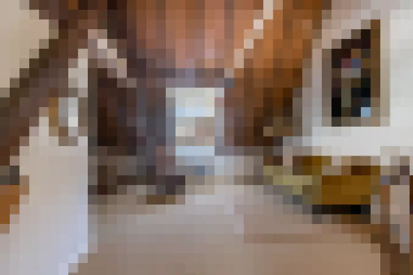 Wijksestraat 33 Heusden thumbnail 44