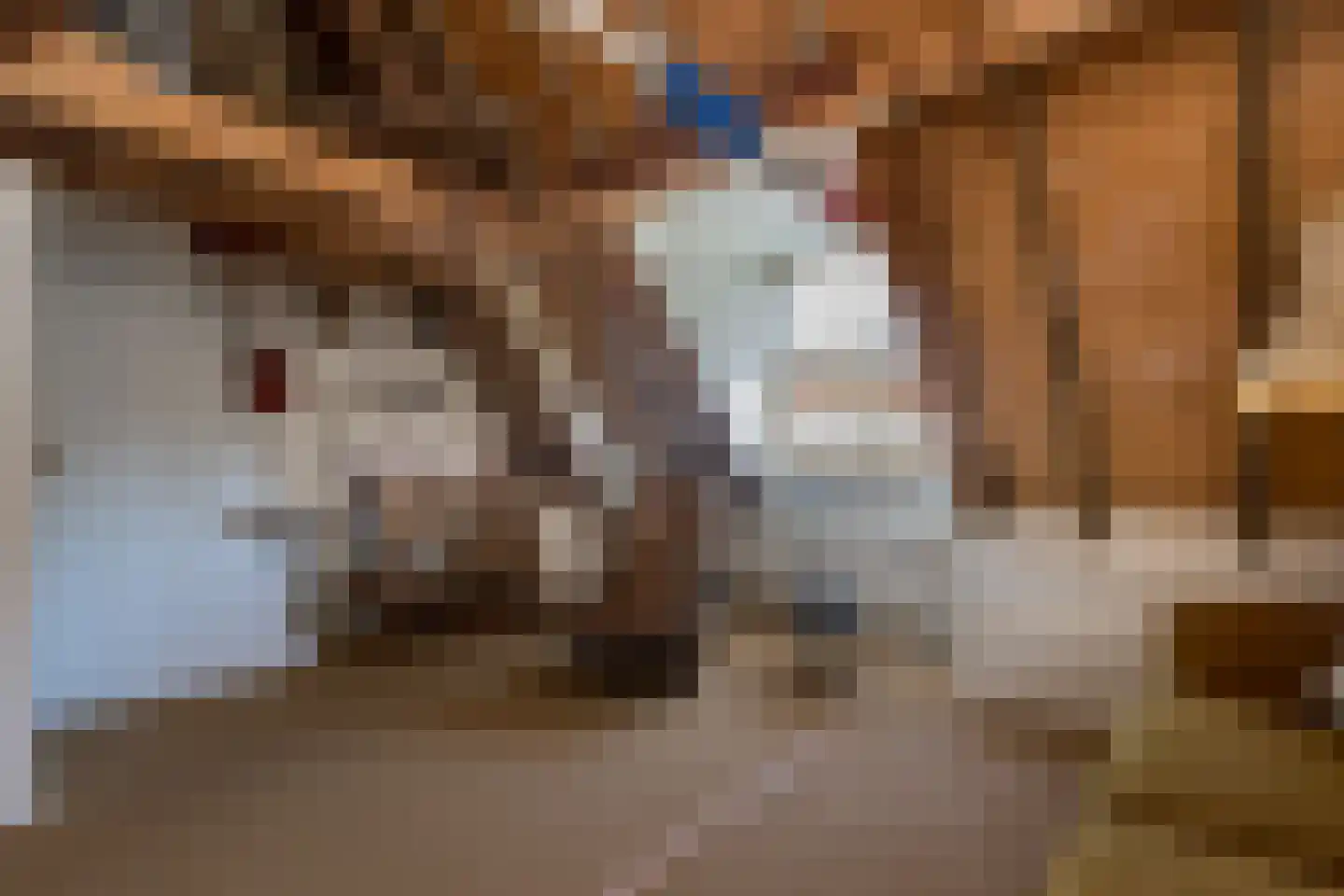 Wijksestraat 33 Heusden thumbnail 45