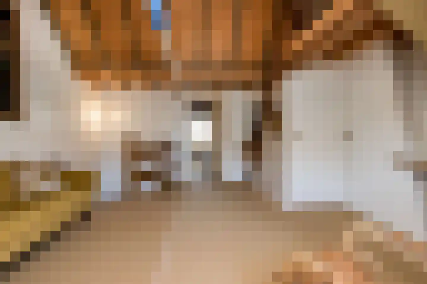 Wijksestraat 33 Heusden thumbnail 46