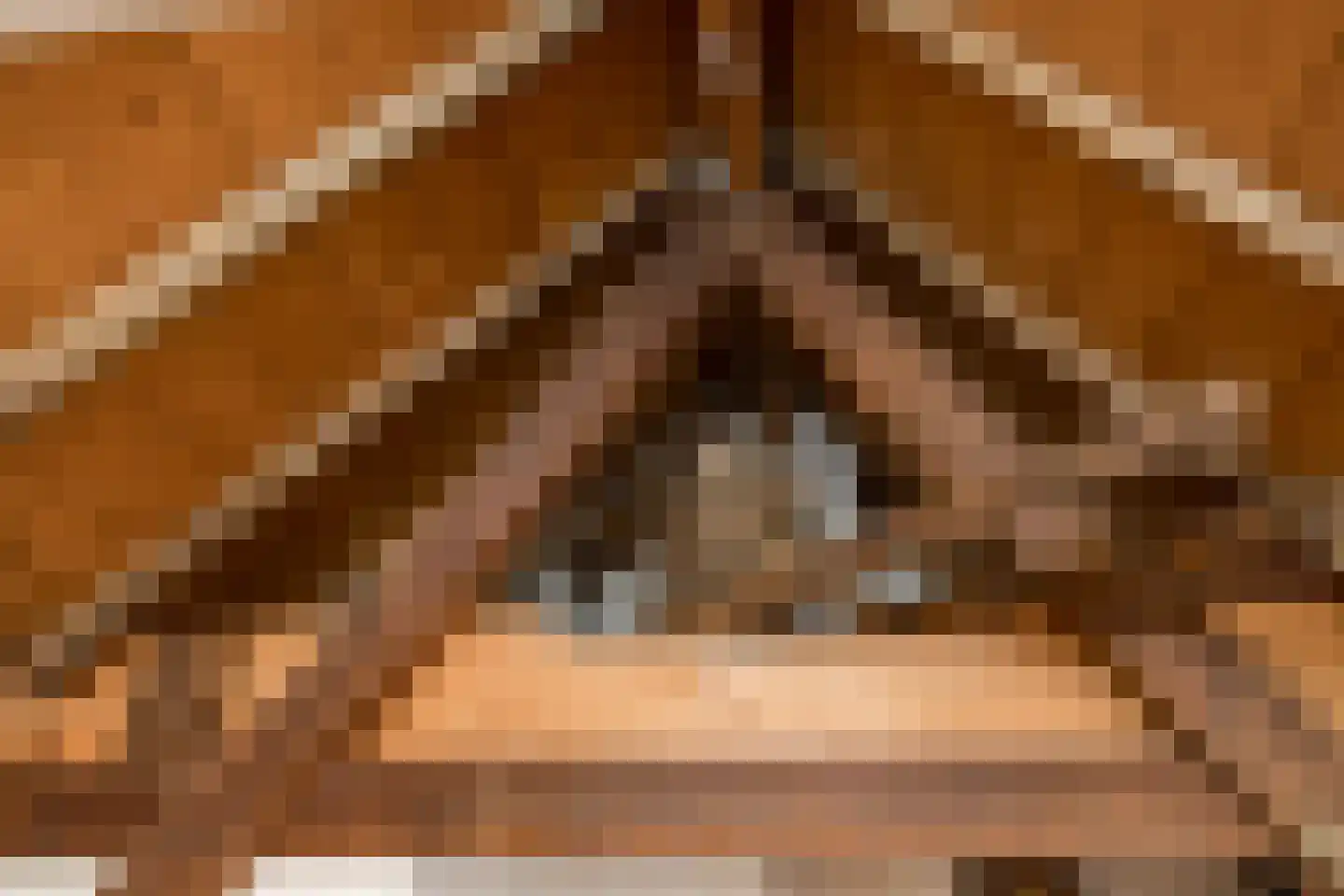 Wijksestraat 33 Heusden thumbnail 47