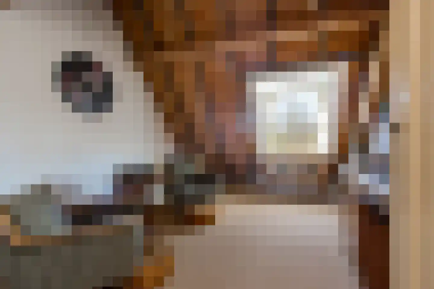 Wijksestraat 33 Heusden thumbnail 50