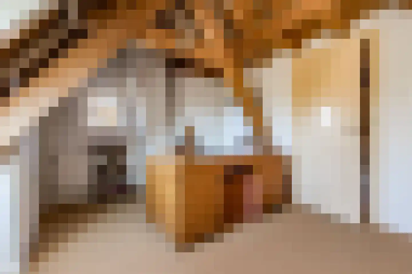 Wijksestraat 33 Heusden thumbnail 51