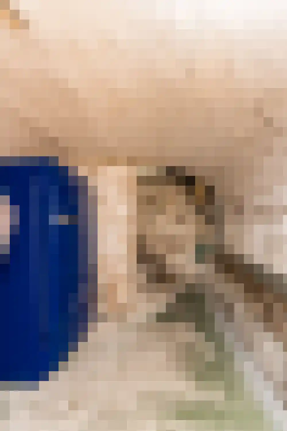 Wijksestraat 33 Heusden thumbnail 58