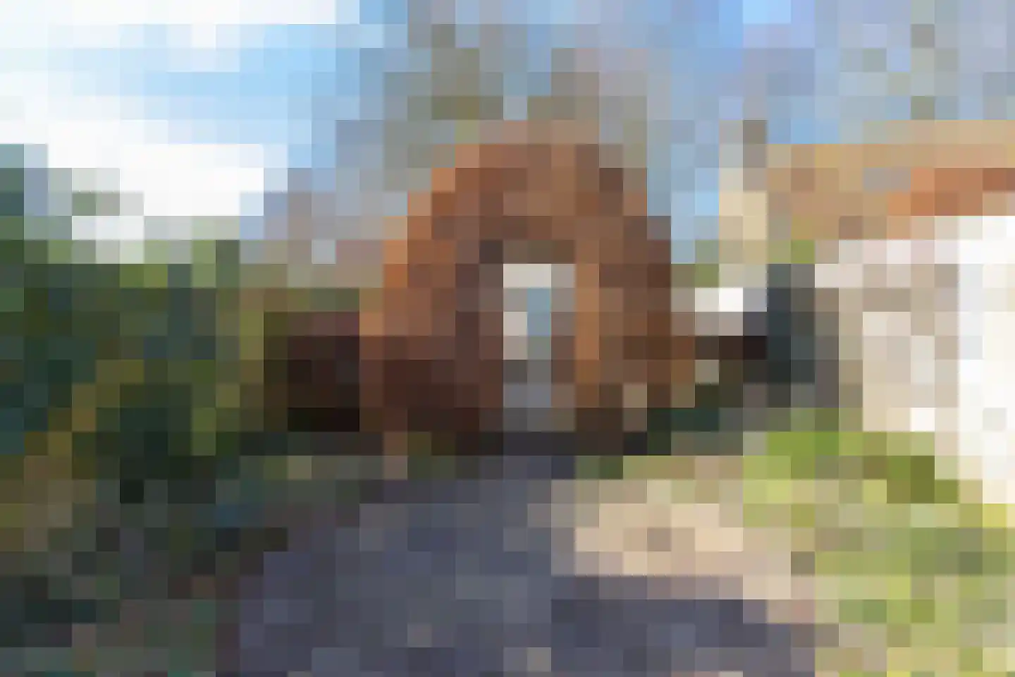 Wijksestraat 33 Heusden thumbnail 69
