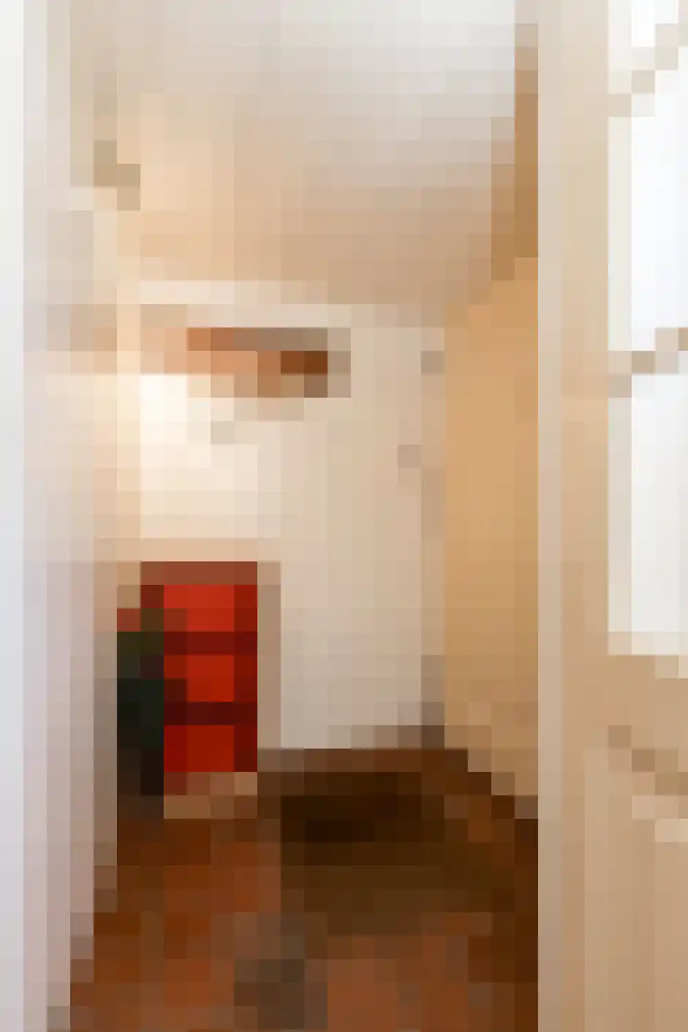 Wijksestraat 33 Heusden thumbnail 7