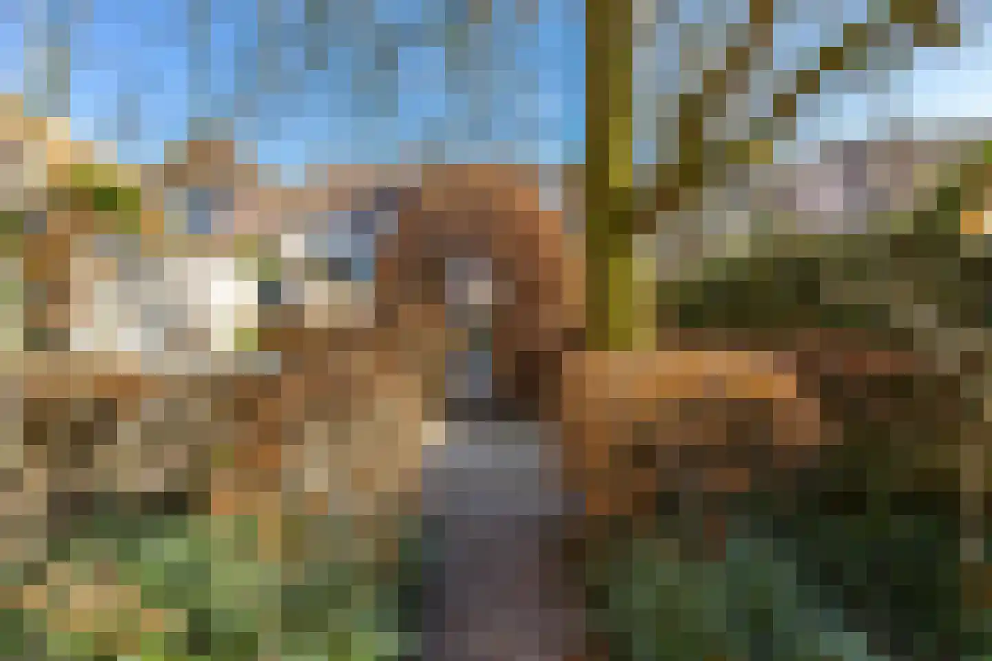 Wijksestraat 33 Heusden thumbnail 71