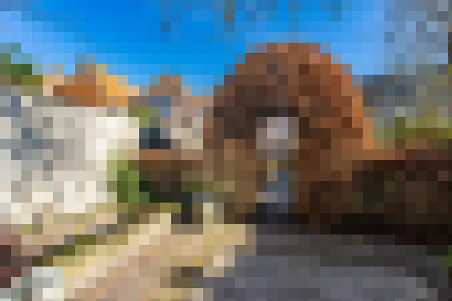 Wijksestraat 33 Heusden thumbnail 72