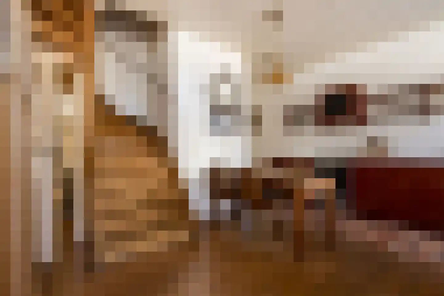 Wijksestraat 33 Heusden thumbnail 8