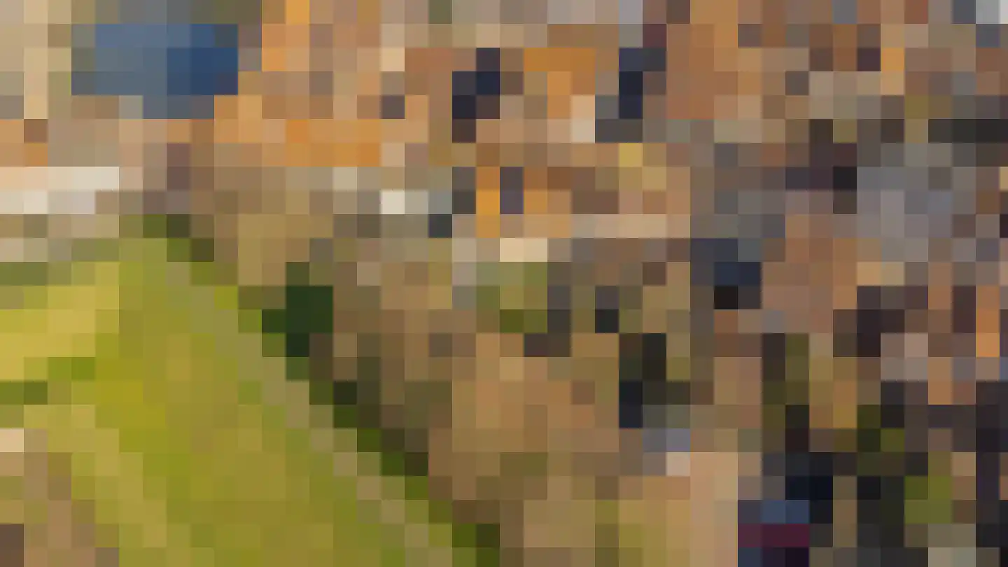 Wijksestraat 33 Heusden thumbnail 89