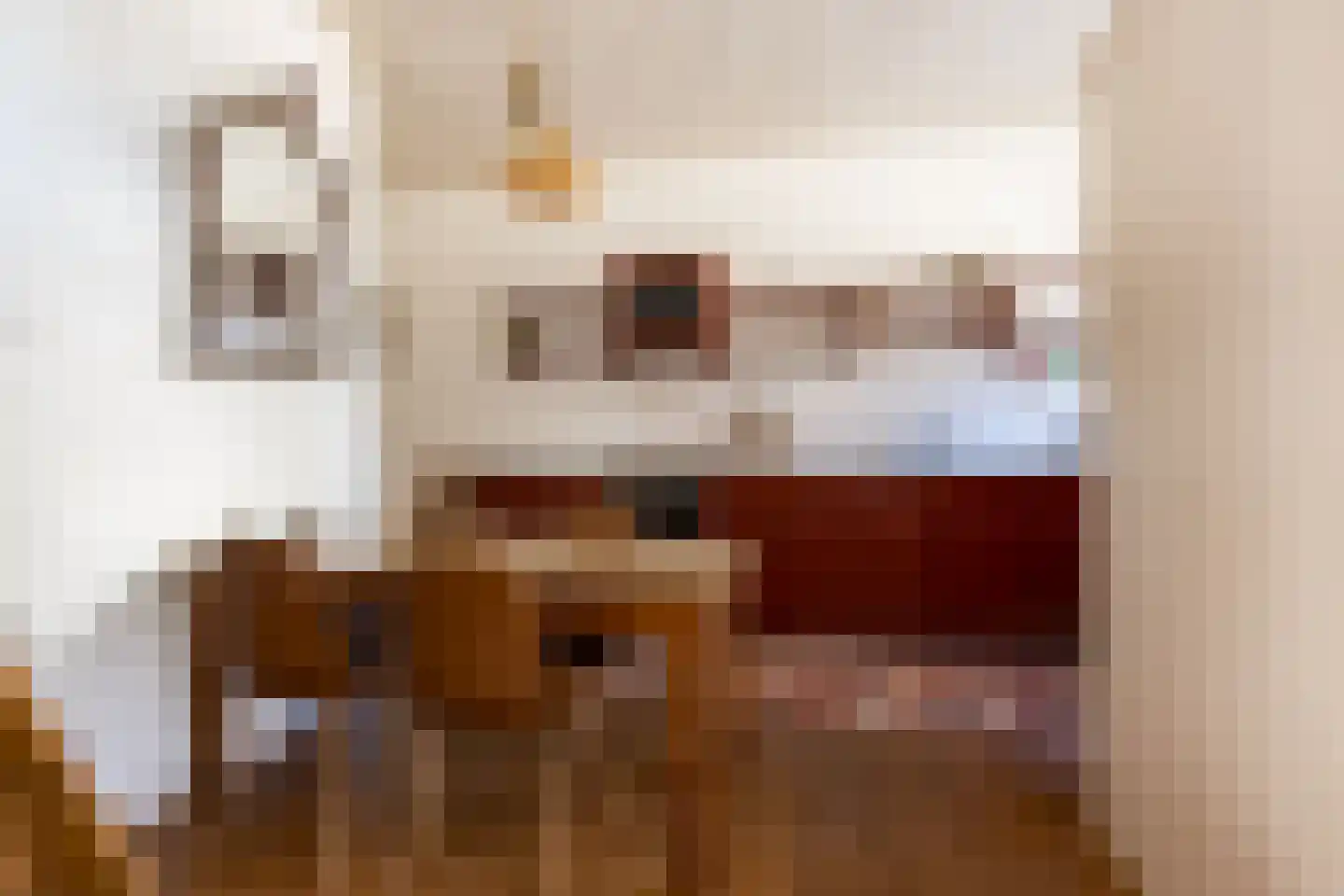 Wijksestraat 33 Heusden thumbnail 9