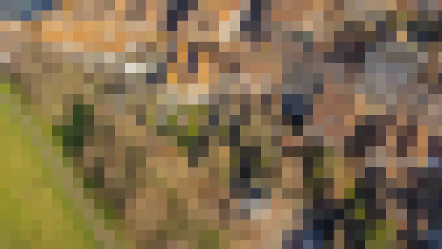 Wijksestraat 33 Heusden thumbnail 90