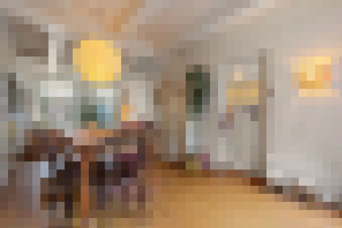 Wijksestraat 42 Heusden thumbnail 11