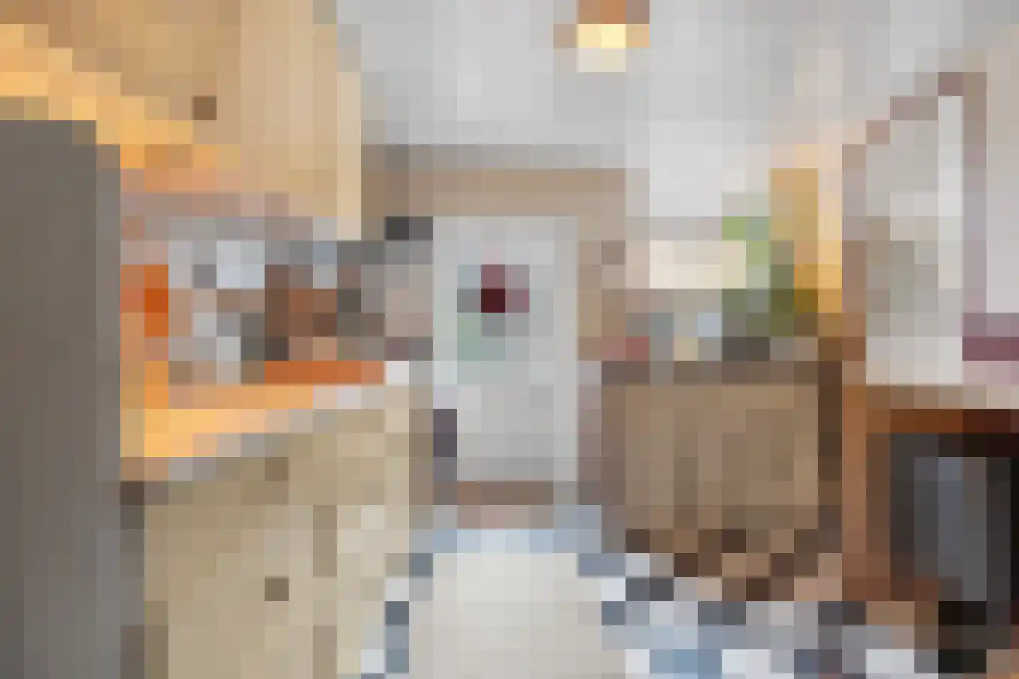 Wijksestraat 42 Heusden thumbnail 12