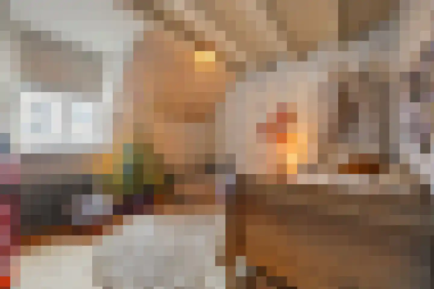 Wijksestraat 42 Heusden thumbnail 17