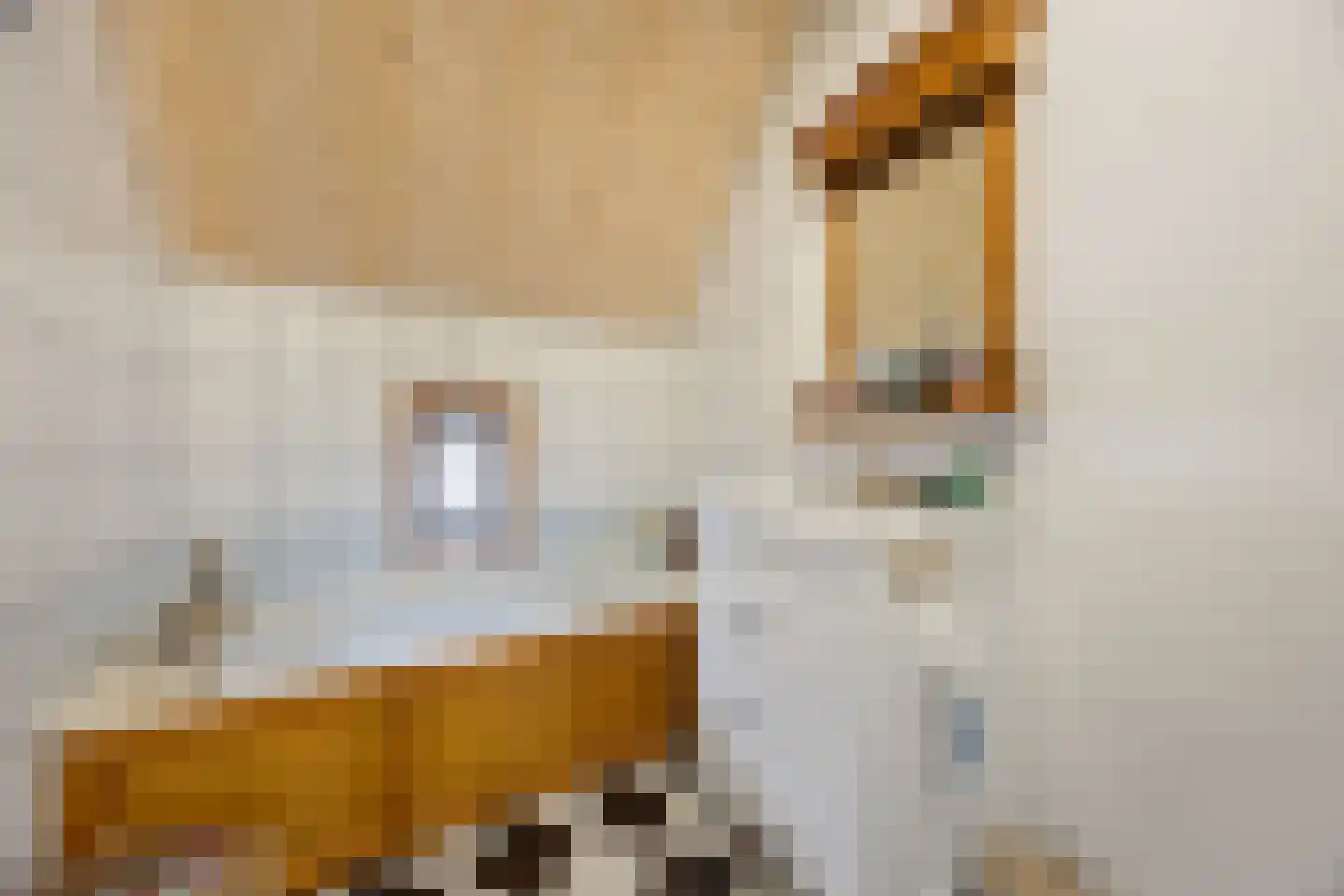 Wijksestraat 42 Heusden thumbnail 19
