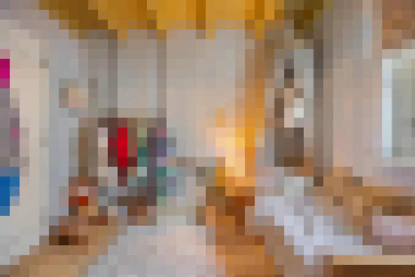 Wijksestraat 42 Heusden thumbnail 21