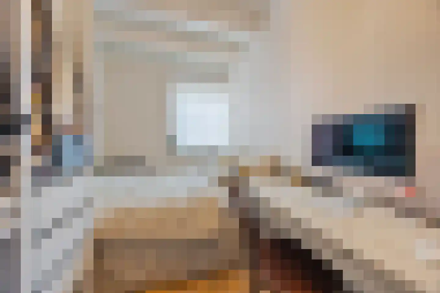 Wijksestraat 42 Heusden thumbnail 22