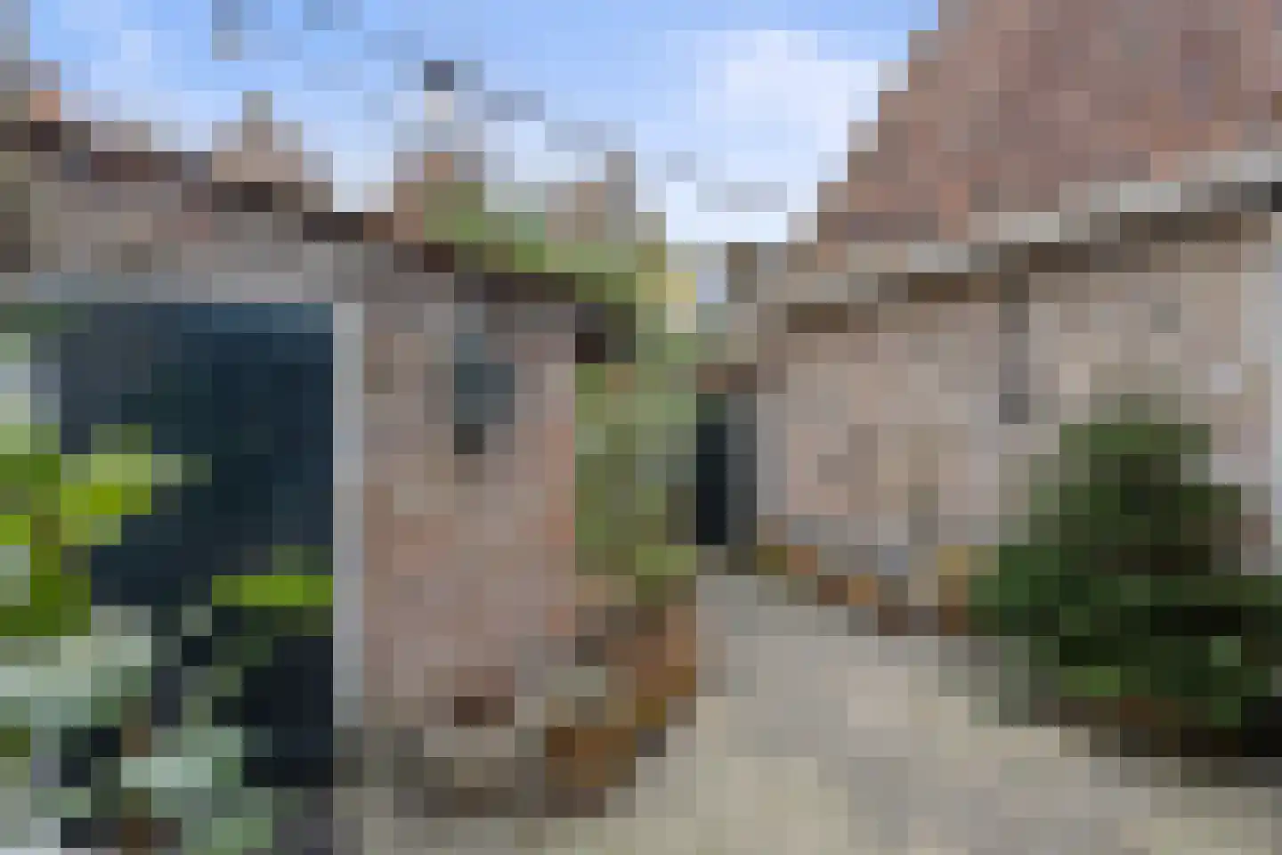 Wijksestraat 42 Heusden thumbnail 4