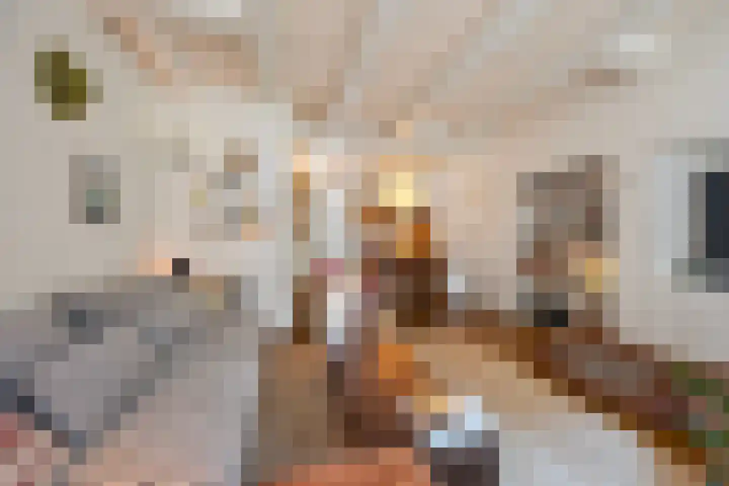 Wijksestraat 42 Heusden thumbnail 7