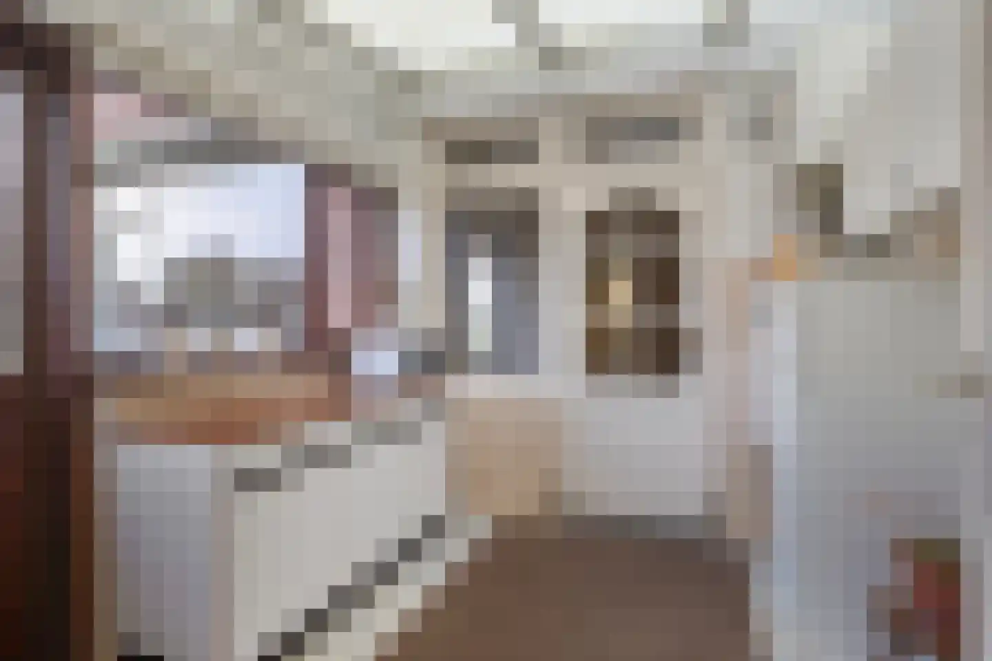 Wijksestraat 5 Bergharen thumbnail 12