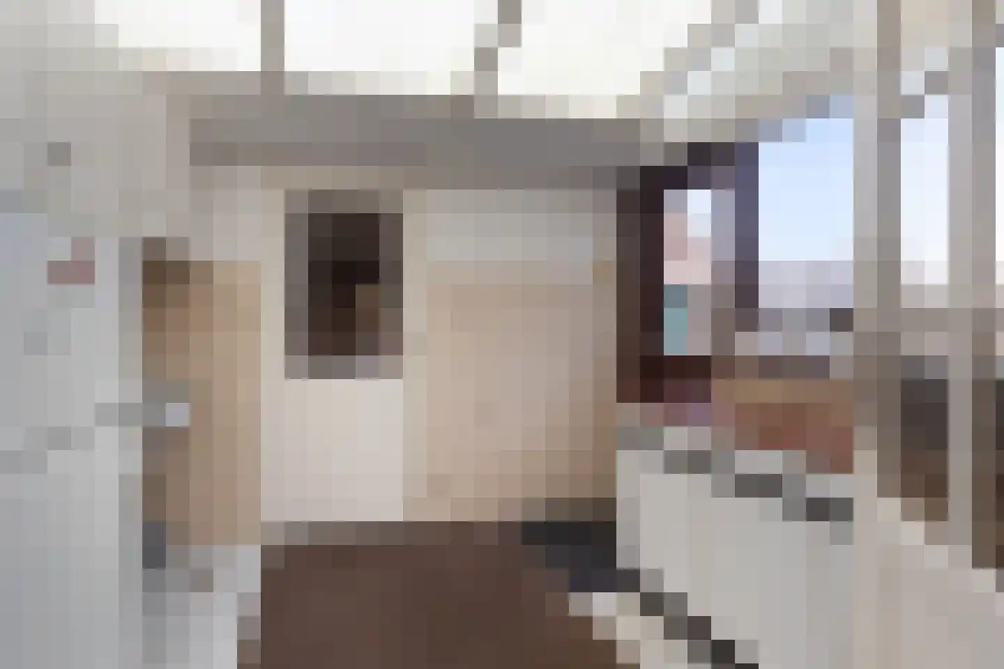 Wijksestraat 5 Bergharen thumbnail 13