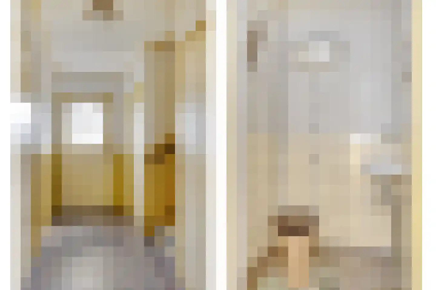Wijksestraat 5 Bergharen thumbnail 16