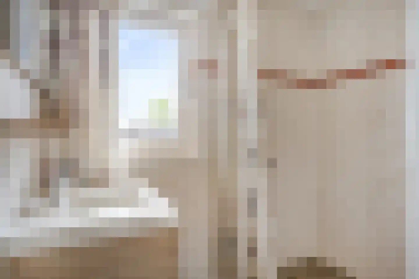 Wijksestraat 5 Bergharen thumbnail 26