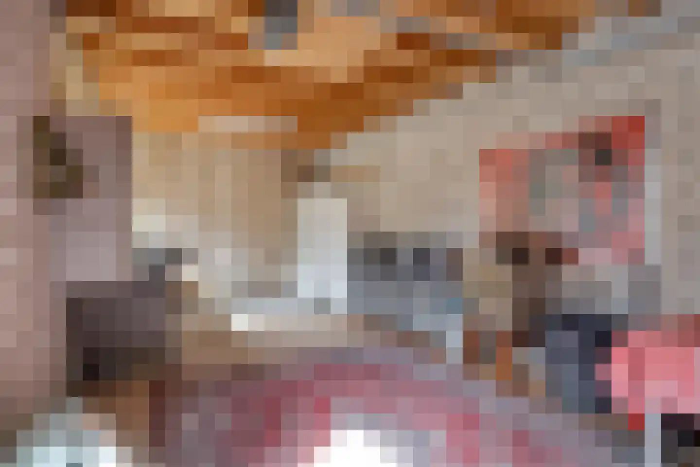 Wijksestraat 5 Bergharen thumbnail 35