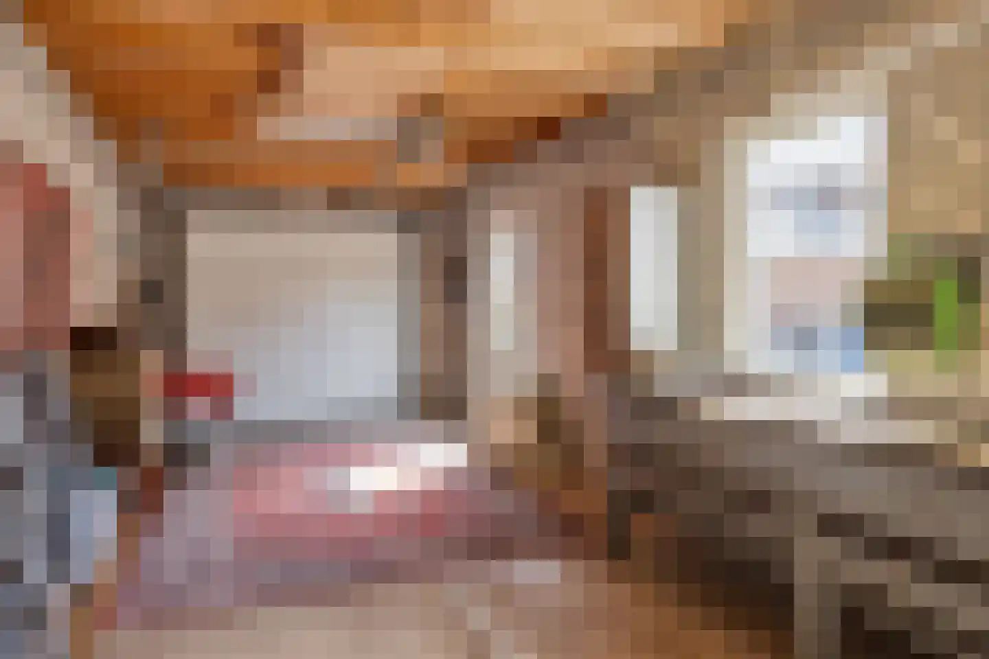 Wijksestraat 5 Bergharen thumbnail 36