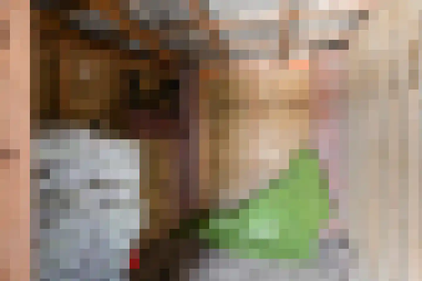 Wijksestraat 5 Bergharen thumbnail 44