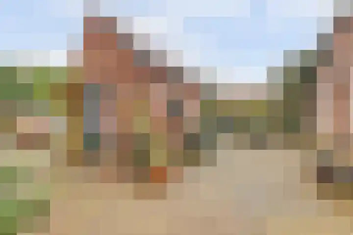 Wijkseweg 18 Terwolde thumbnail 28