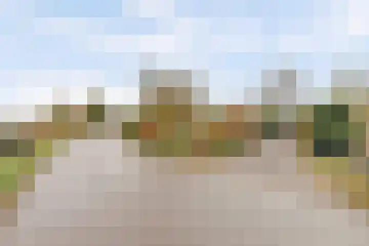 Wijkseweg 18 Terwolde thumbnail 39