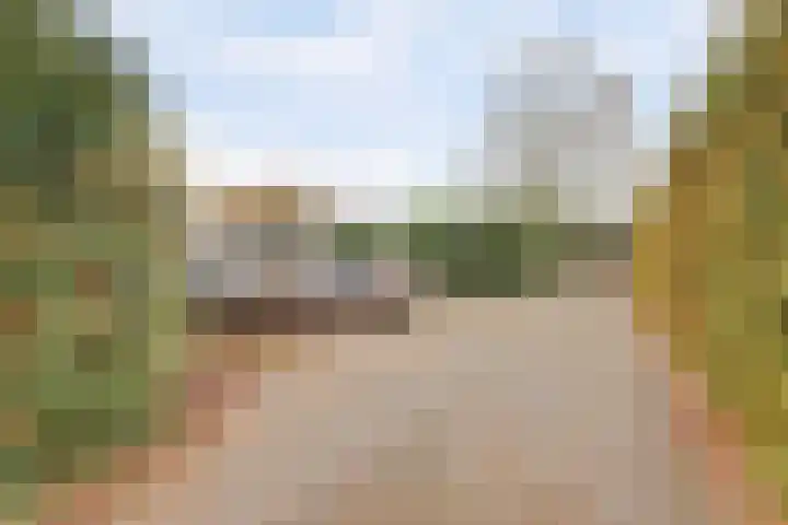 Wijkseweg 18 Terwolde thumbnail 40