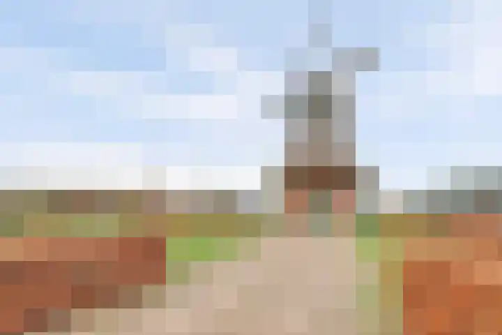 Wijkseweg 18 Terwolde thumbnail 42