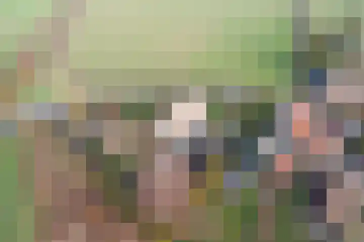 Wijkseweg 18 Terwolde thumbnail 5