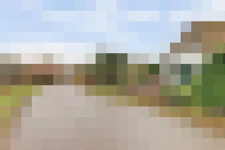 Wijkseweg 18 Terwolde thumbnail 6
