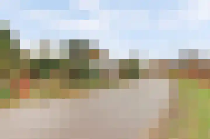 Wijkseweg 18 Terwolde thumbnail 7