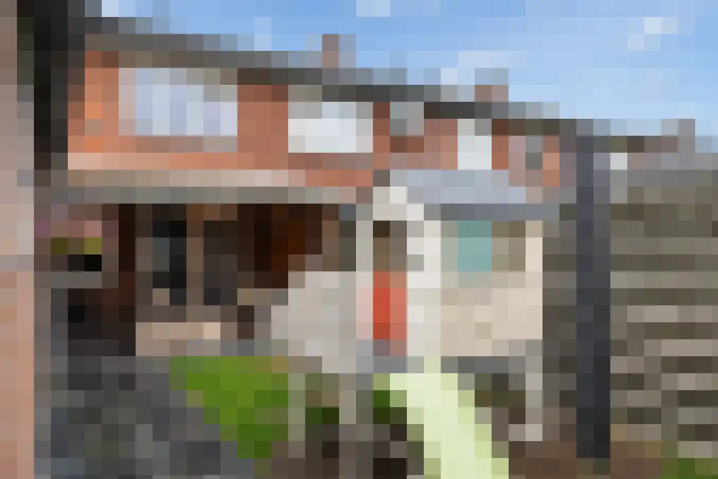 Wijkstraat 111 Nieuw-Amsterdam thumbnail 10