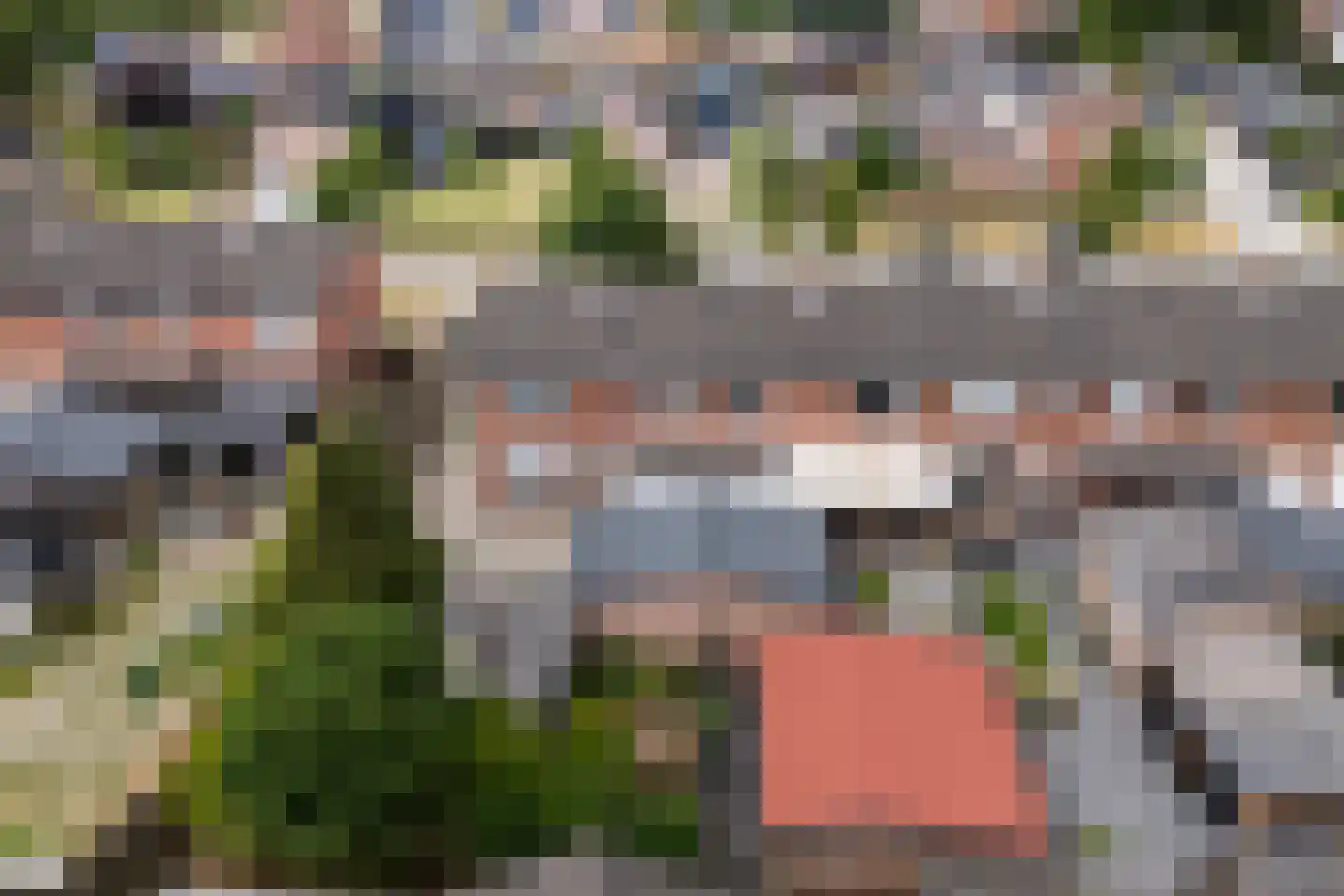 Wijkstraat 111 Nieuw-Amsterdam thumbnail 42