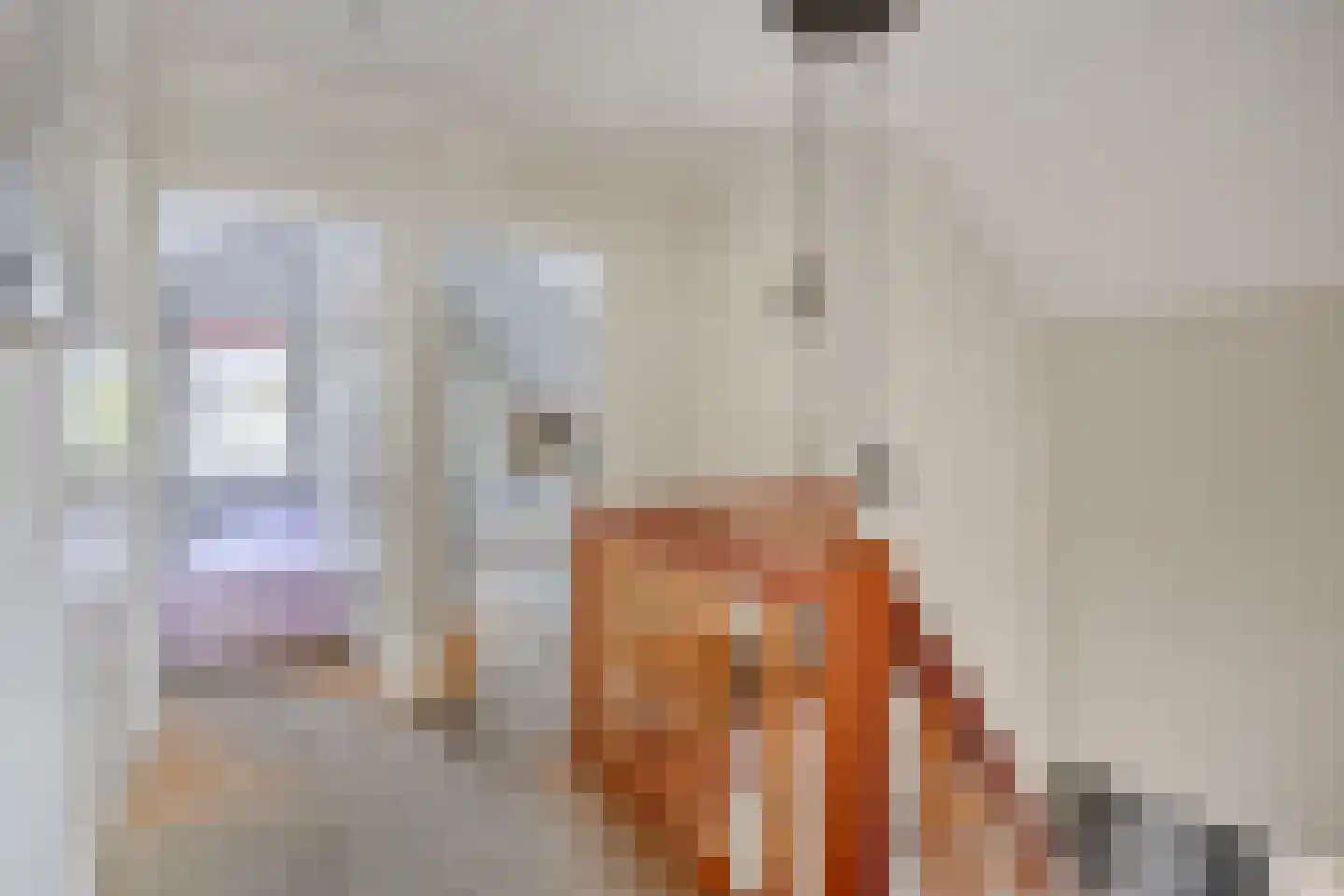Wijkstraat 13 Bruchterveld thumbnail 21
