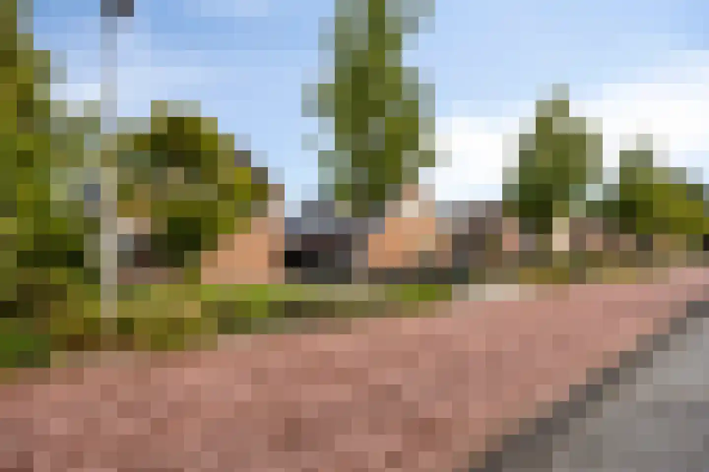 Wijkstraat 13 Bruchterveld thumbnail 4